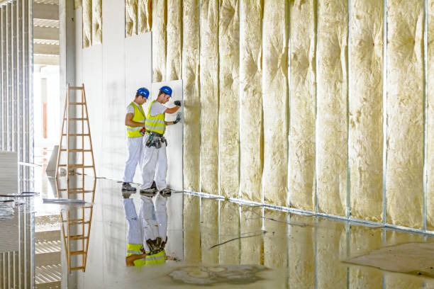 Best Crawl Space Insulation  in Bucyrus, OH
